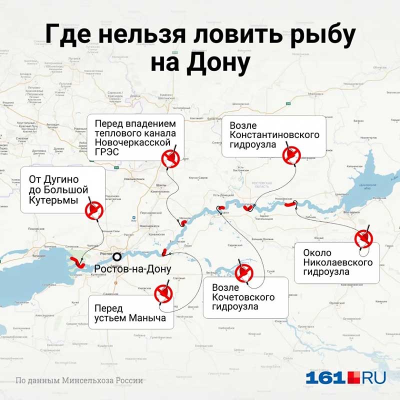 Где и как рыбачить на Дону