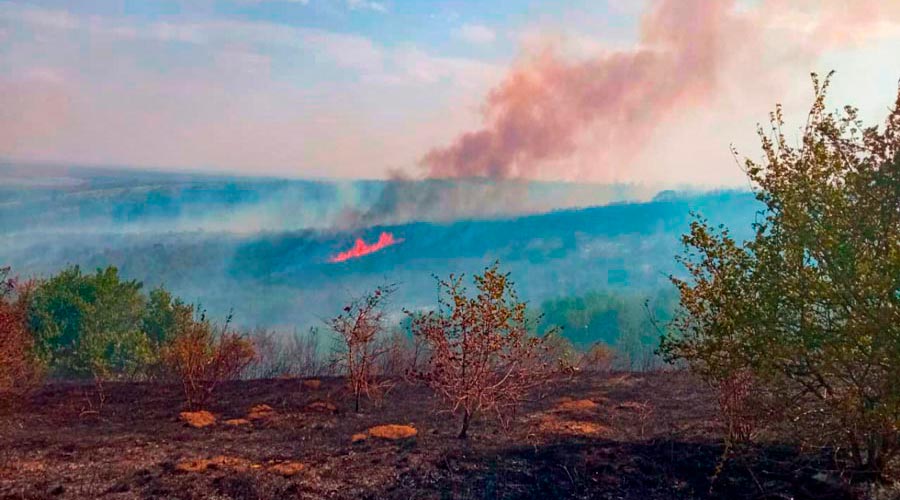 Пожар в Кулиничевой балке остановлен